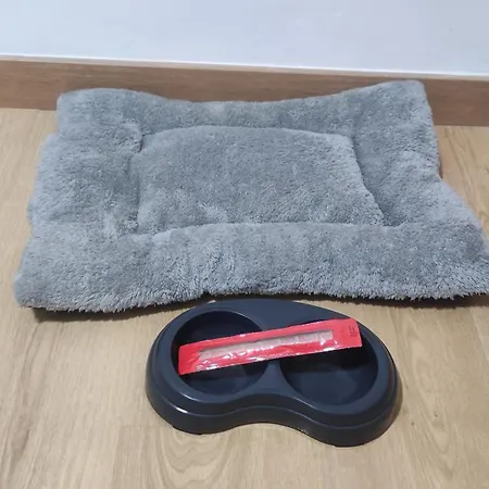 Casa Miguel Apartamento *